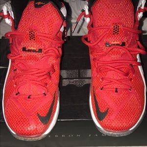 Lebron 12s